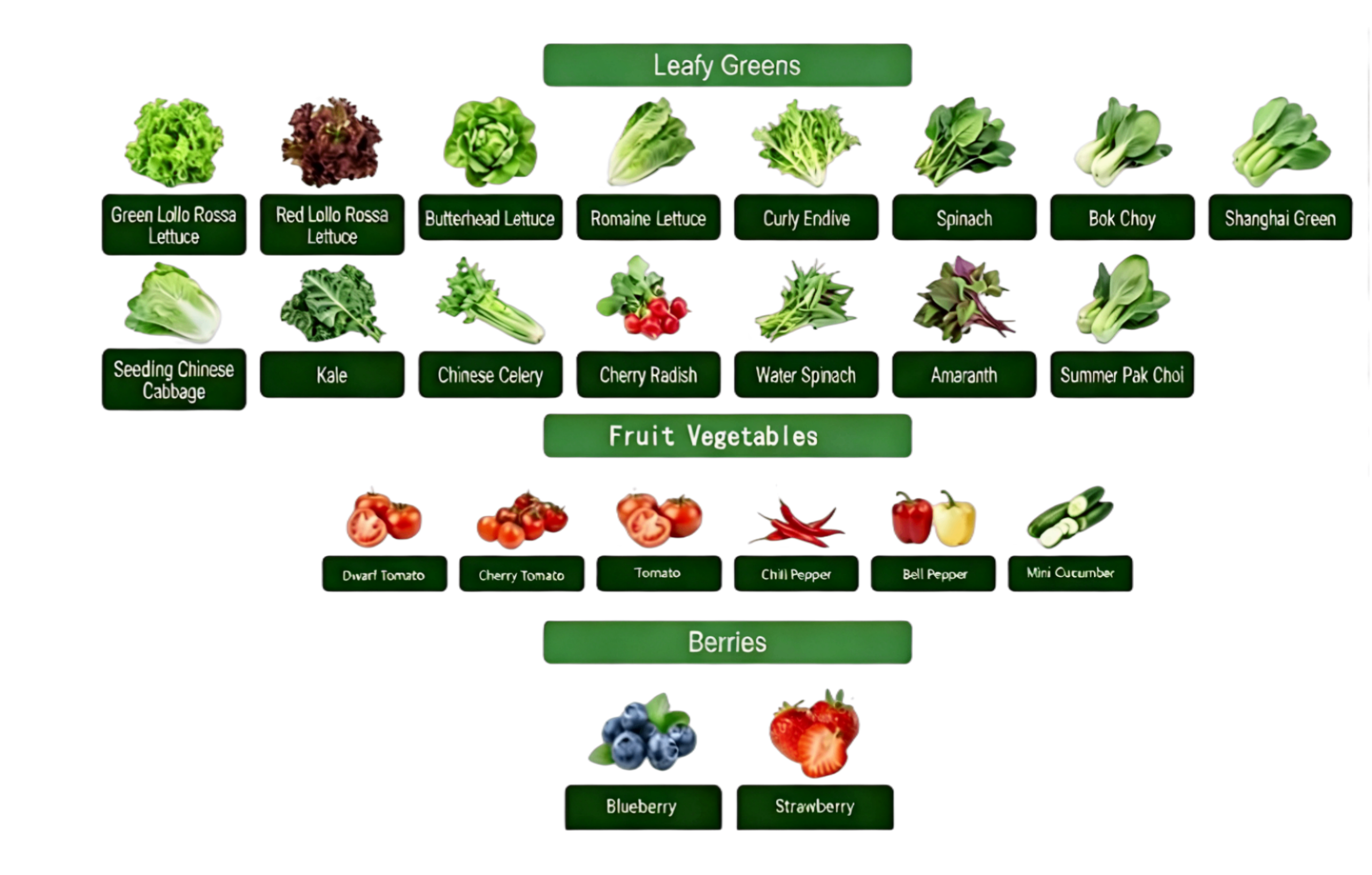 Plant Varieties